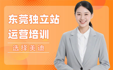 东莞独立站运营培训班