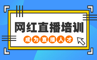 网红直播培训