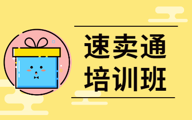 速卖通培训班