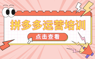拼多多运营培训