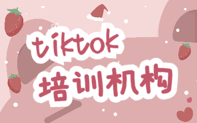 tiktok培训机构