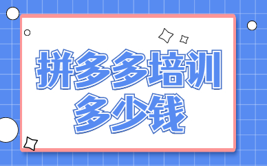 拼多多培训多少钱