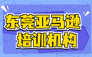东莞亚马逊培训机构