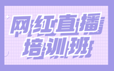 网红直播培训班