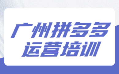 广州拼多多运营培训
