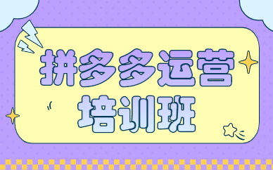 拼多多运营培训班