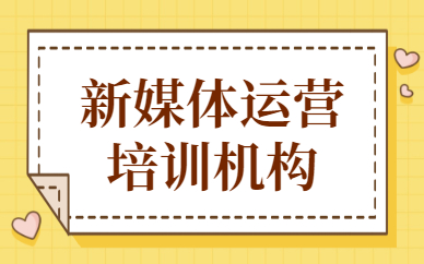 新媒体运营培训机构