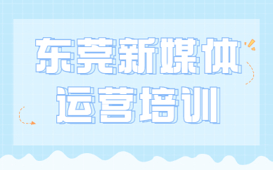 东莞新媒体运营培训