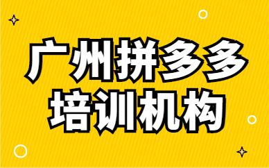广州拼多多培训机构