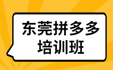 东莞拼多多培训班