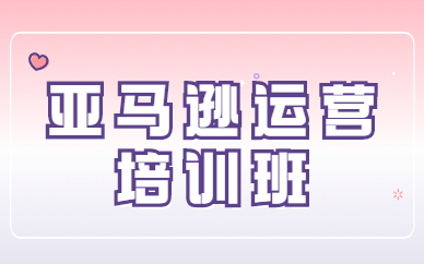 亚马逊运营培训班