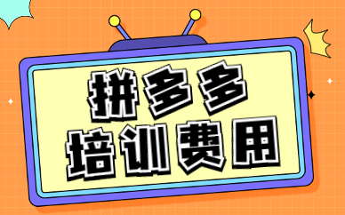 拼多多培训费用