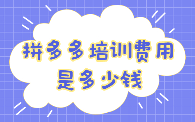 拼多多培训费用是多少钱