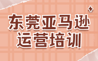 东莞亚马逊运营培训