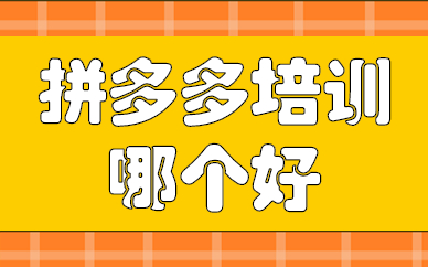 拼多多培训哪个好