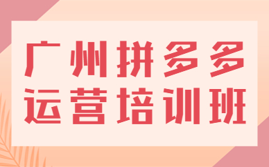 广州拼多多运营培训班