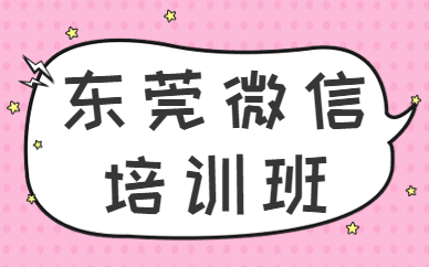 东莞微信培训班