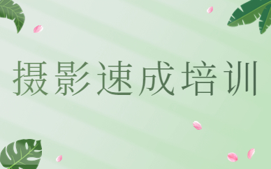 摄影速成培训