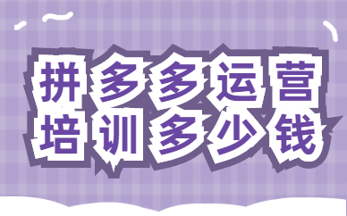 拼多多运营培训多少钱