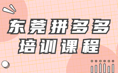 东莞拼多多培训课程
