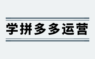 学拼多多运营