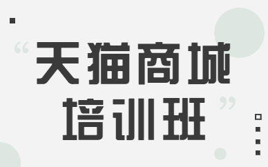 天猫商城培训班