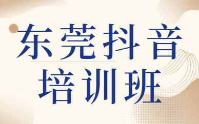 东莞抖音培训班