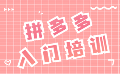 拼多多入门培训
