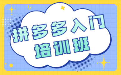 拼多多入门培训班