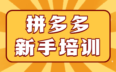 拼多多新手培训