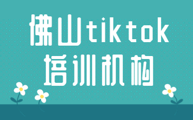 佛山tiktok培训机构
