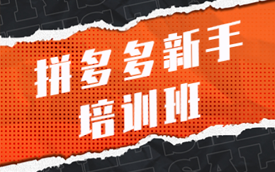 拼多多新手培训班