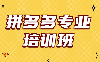 拼多多专业培训班