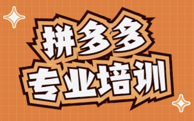 拼多多专业培训