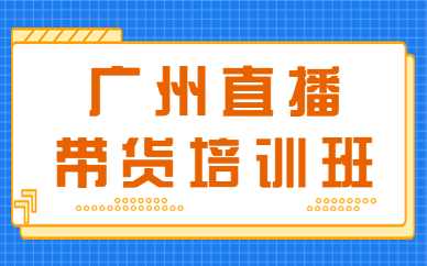 广州直播带货培训班