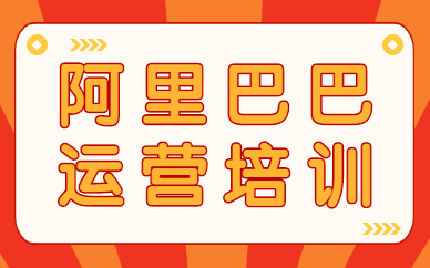 广州阿里巴巴运营培训