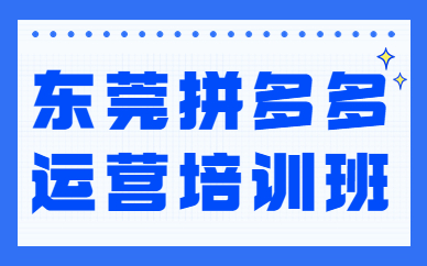 东莞拼多多运营培训班