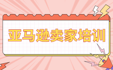 亚马逊卖家培训
