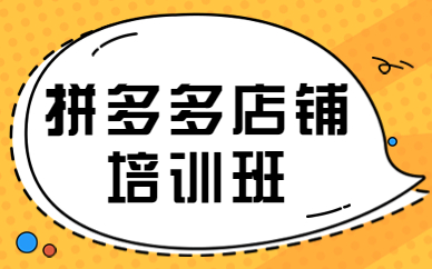 拼多多店铺培训班