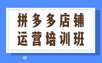 拼多多店铺运营培训班