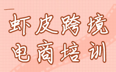 佛山虾皮跨境电商培训