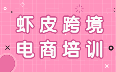 中山虾皮跨境电商培训