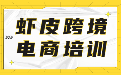 广州虾皮跨境电商培训