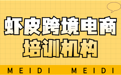 虾皮跨境电商培训机构