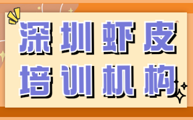 深圳虾皮培训机构