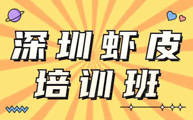 深圳虾皮培训班