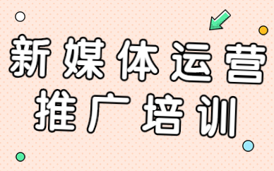 新媒体运营推广培训