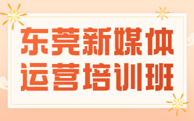 东莞新媒体运营培训班