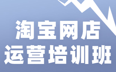 淘宝网店运营培训班
