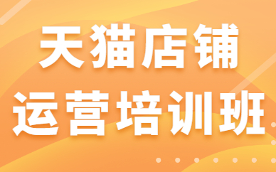 天猫店铺运营培训班